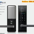 Khóa Cửa Hafele