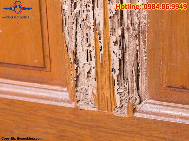 Cách Sửa Chữa Tủ Bếp Bị Mối Mọt
