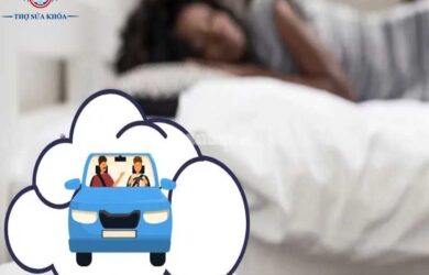 Mơ Thấy Ngồi Trên Ô Tô Đánh Con Gì